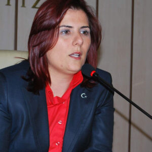 chpden ozlem cercioglu krizine karsi aydin hamlesi ukWZspzX