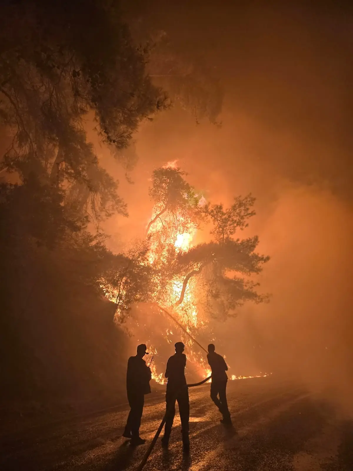 milasta orman yangini Om3YtxbU