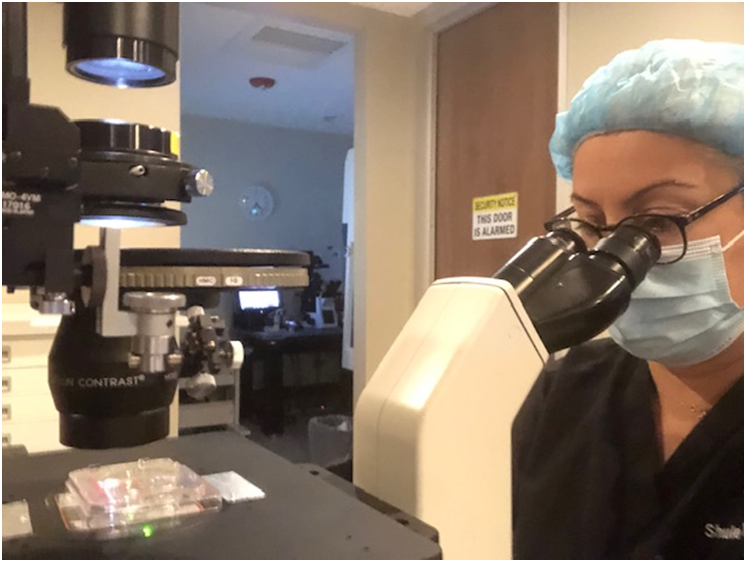 ABD Tüp Bebek Sektöründe Türk Kadının Başarısı