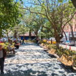 Guzel izmir hareketi bayindirda c2alLu8z